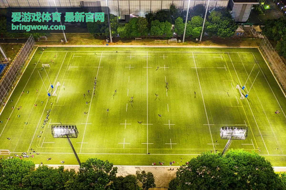 爱游戏体育 最新官网 夜间球场灯光氛围背景